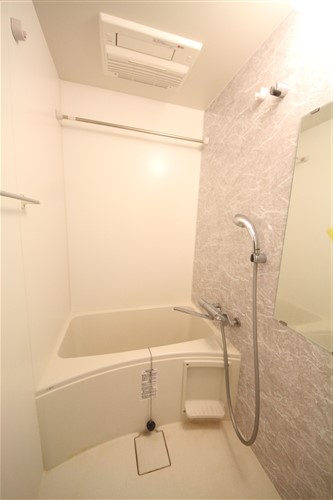 S-RESIDENCE阿波座WESTの風呂写真