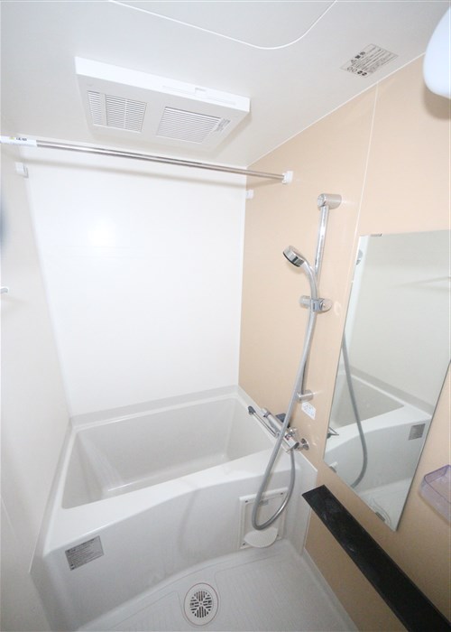 ラヴィータ難波元町の風呂写真