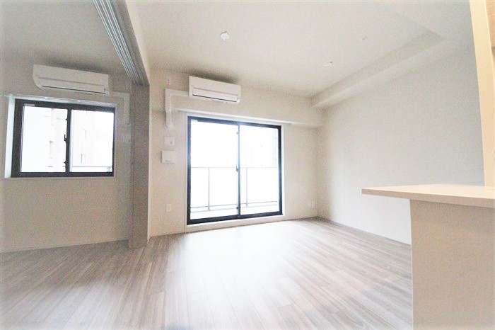 SK RESIDENCES SHINSAIBASHIの居間写真
