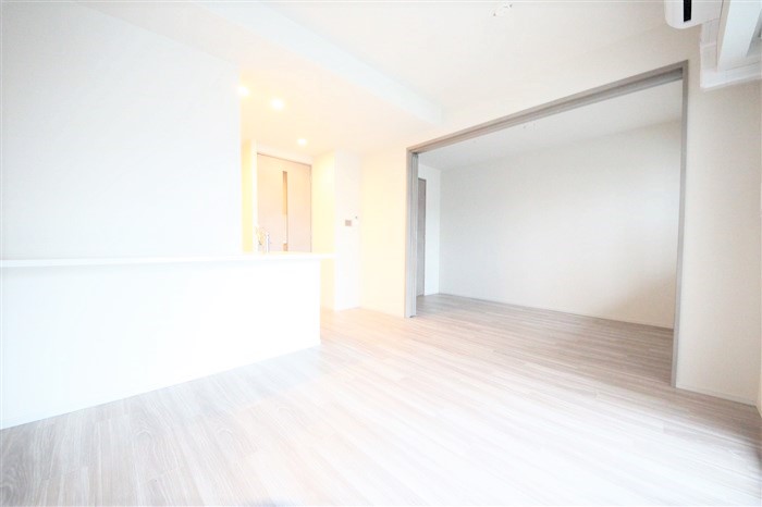 SK RESIDENCES SHINSAIBASHIの居間写真