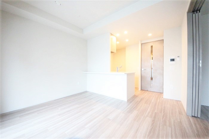 SK RESIDENCES SHINSAIBASHIの居間写真