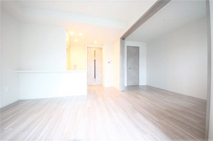 SK RESIDENCES SHINSAIBASHIの居間写真