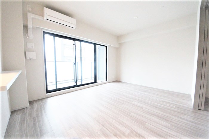 SK RESIDENCES SHINSAIBASHIの居間写真
