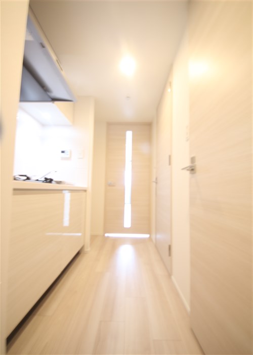 S-RESIDENCE福島玉川Tresの内装写真