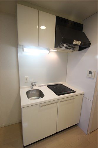 クラウンハイム北心斎橋フラワーコートのキッチン写真