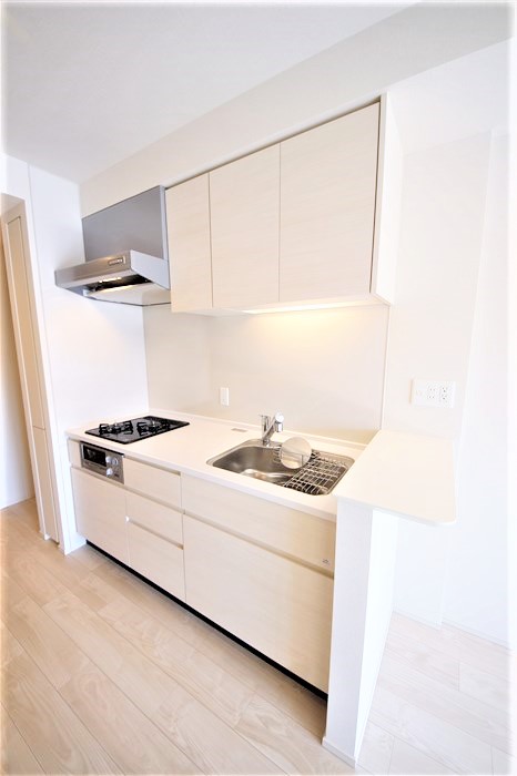 OPUS RESIDENCE SHINSAIBASHI SOUTHのキッチン写真