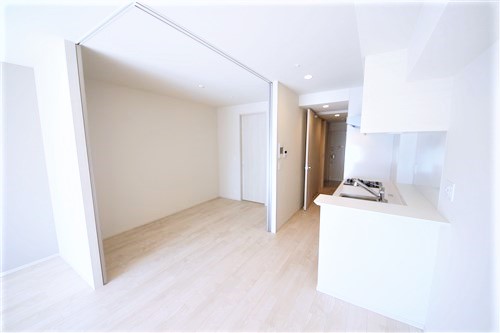 OPUS RESIDENCE SHINSAIBASHI SOUTHの内装写真
