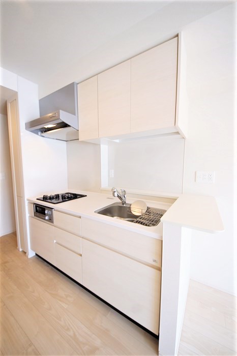 OPUS RESIDENCE SHINSAIBASHI SOUTHのキッチン写真