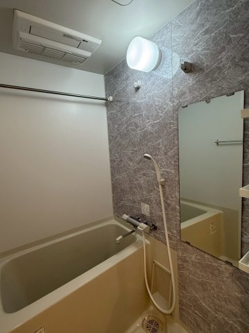 SーRESIDENCE難波BRILLERの風呂写真