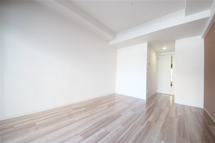 スプランディッド淀屋橋DUEの居間写真