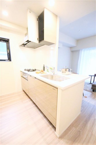 SK RESIDENCES SHINSAIBASHIのキッチン写真