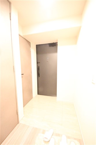 SK RESIDENCES SHINSAIBASHIの玄関写真