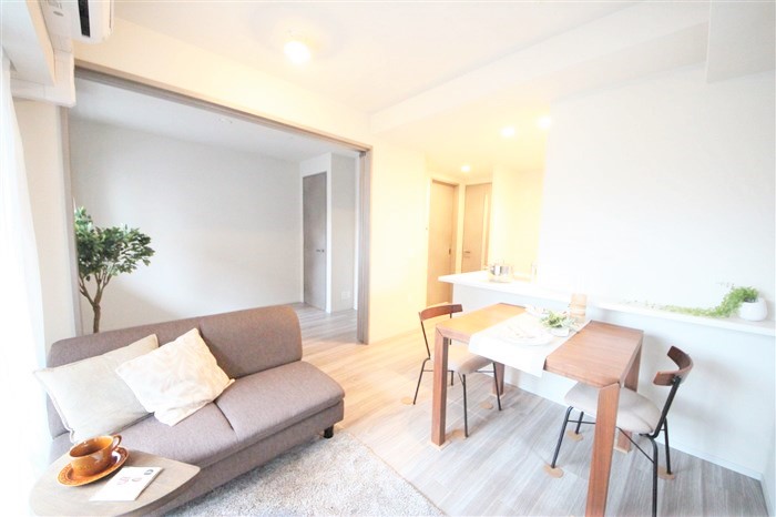 SK RESIDENCES SHINSAIBASHIの居間写真