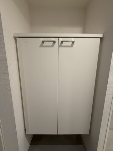 セレニテ谷町四丁目アリエの玄関写真
