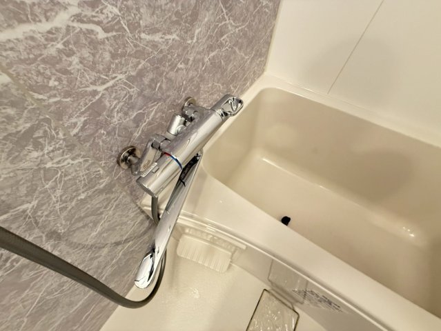 S-RESIDENCE堺筋本町Unoの風呂写真