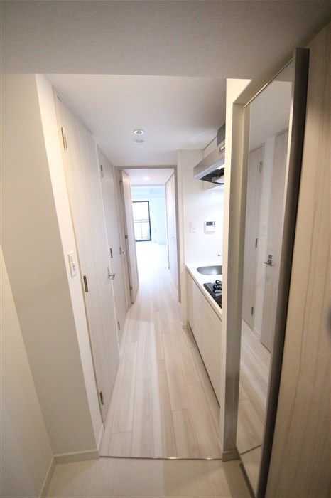 SーRESIDENCE堺筋本町Unoの玄関写真
