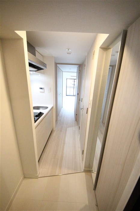 S-RESIDENCE堺筋本町Unoの玄関写真