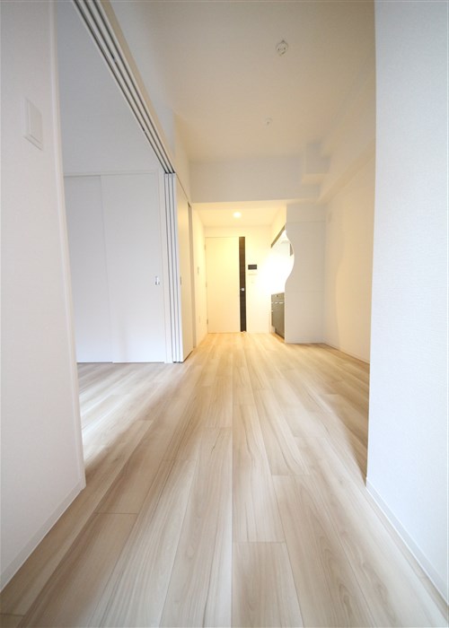 セレニテ堺筋本町リアンの内装写真