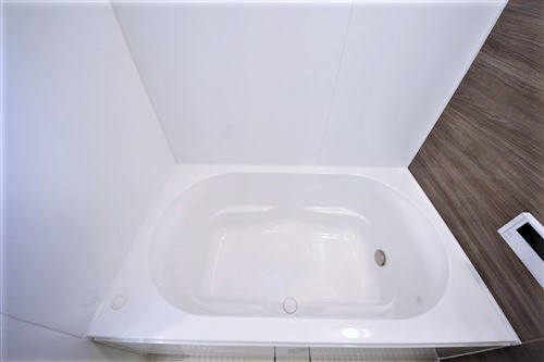 OPUS RESIDENCE SHINSAIBASHI SOUTHの風呂写真