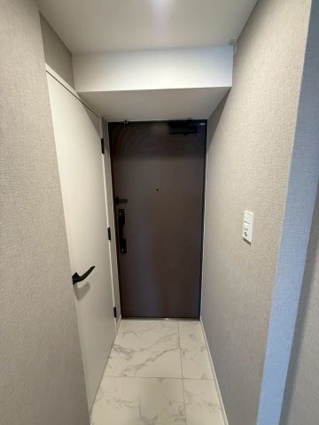 S-RESIDENCE大阪上本町の玄関写真