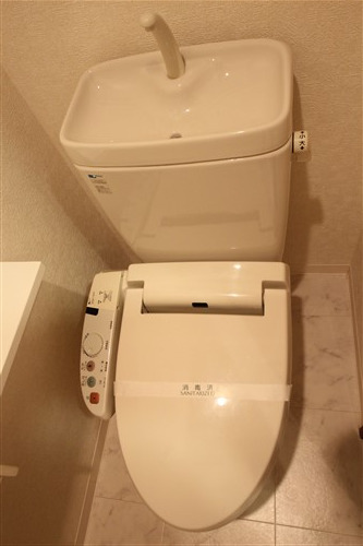 コンソラーレ同心のその他写真