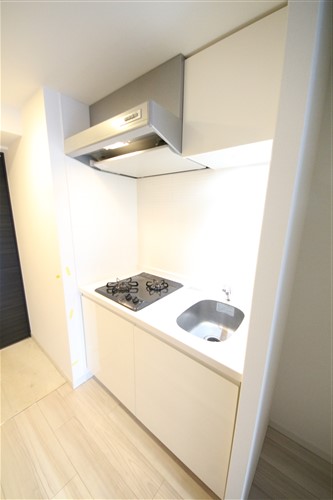 S-RESIDENCE阿波座WESTのキッチン写真