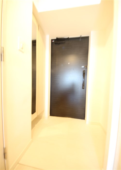 S-RESIDENCE福島Alovitaの玄関写真