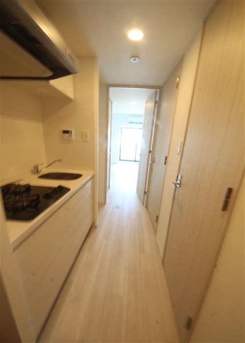 S-RESIDENCE福島Alovitaの内装写真