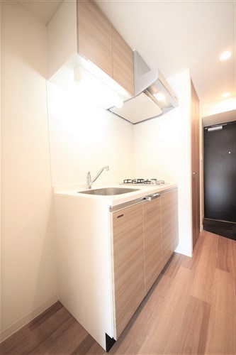 プレサンス水都OKAWAのキッチン写真