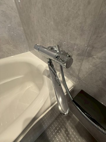S-RESIDENCE難波西alterの風呂写真