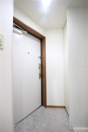アーバンステージ安堂寺IIの玄関写真