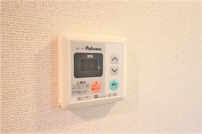 アストレアのその他写真