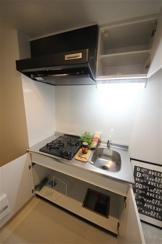 グランパシフィック木川東のキッチン写真