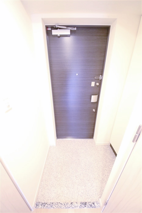 プレサンス江戸堀の玄関写真