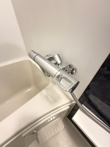 エスリード大阪セレスティアの風呂写真