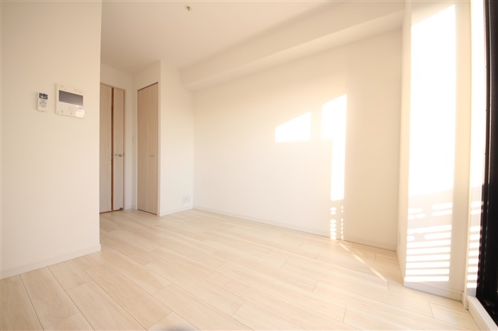 S-RESIDENCE南堀江の居間写真