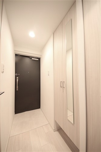 S-RESIDENCE南堀江の玄関写真
