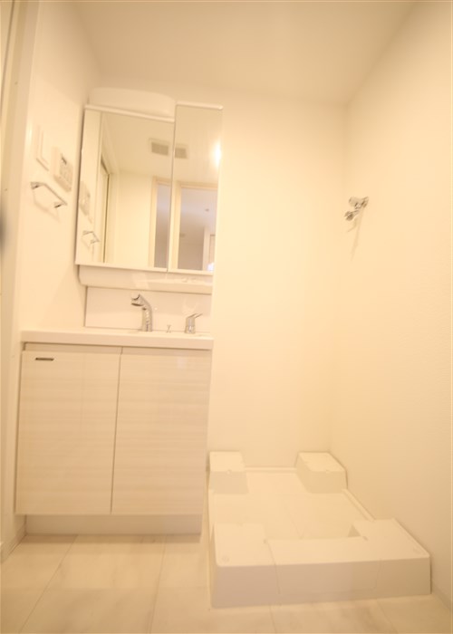 SーRESIDENCE福島玉川TRESのその他写真