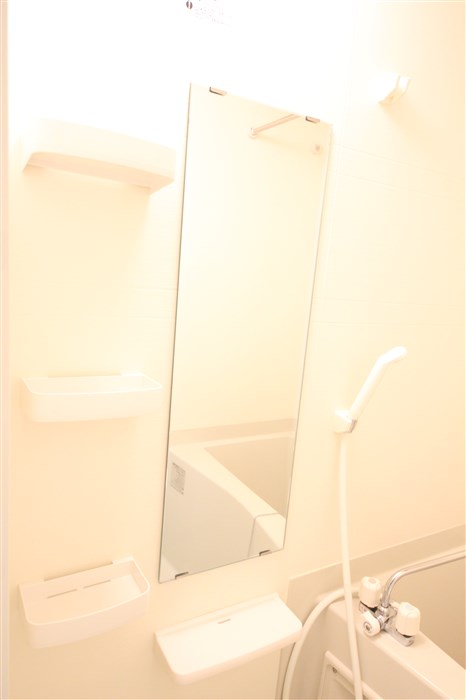 ララプレイスOSAKA WEST PRIMEの風呂写真