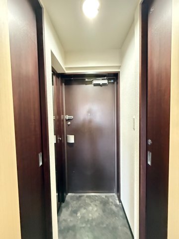 フレンシアノイエ難波南の玄関写真