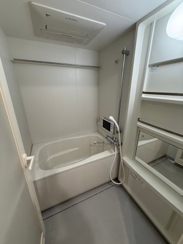 フレンシアノイエ難波南の風呂写真