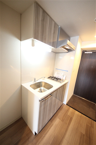 プレサンス難波フィールドのキッチン写真
