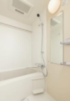 ArtizA南船場の風呂写真