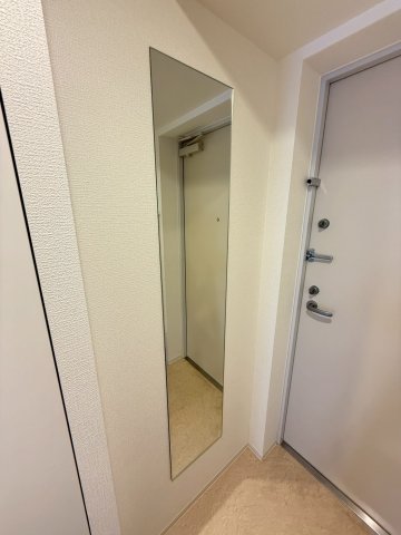 セレニテ難波グランデシュッドの玄関写真