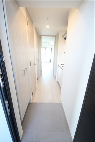 S-RESIDENCE大阪九条Northの玄関写真