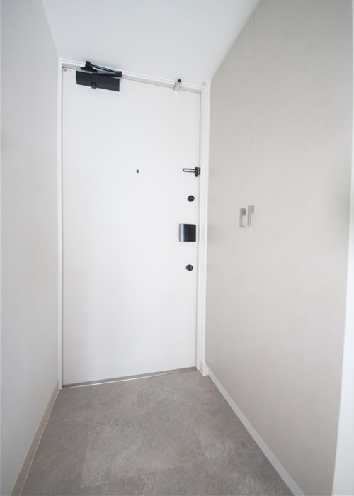 エステムコート難波VIIビヨンドの玄関写真