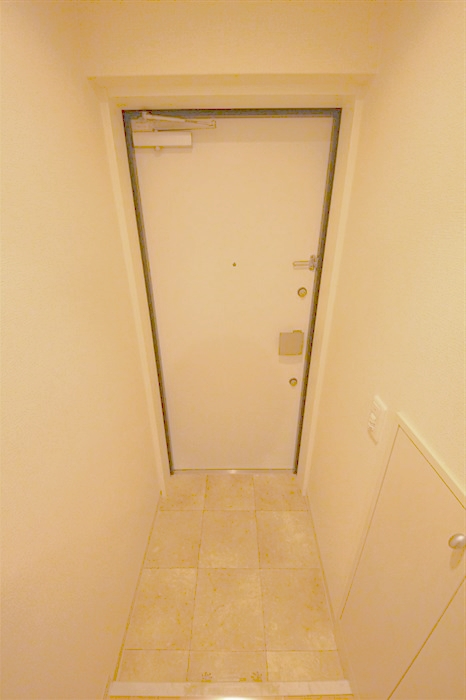 URBAN FLATS中之島の玄関写真