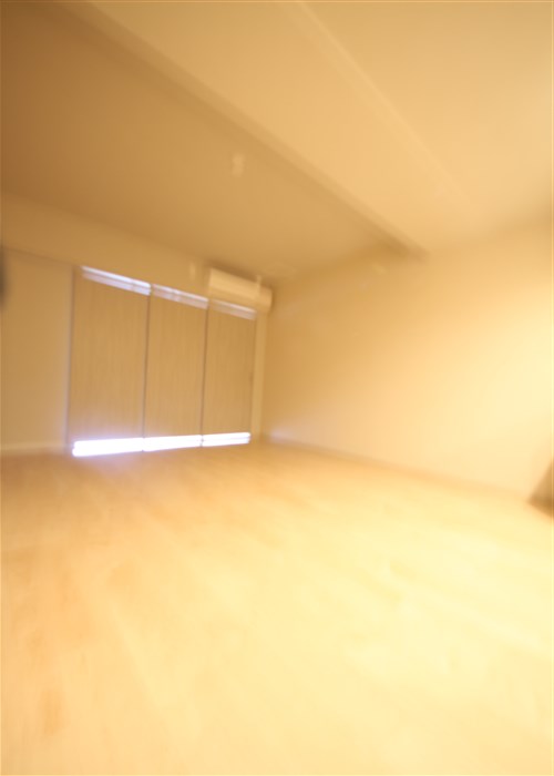 スプランディッド福島WESTの居間写真