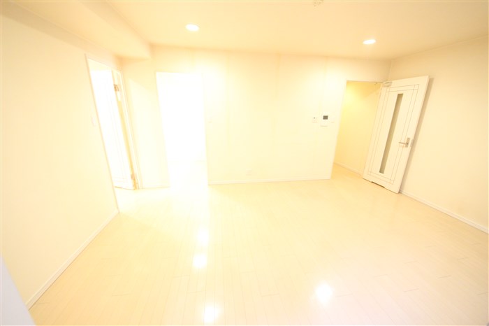 BRAVI南堀江の居間写真