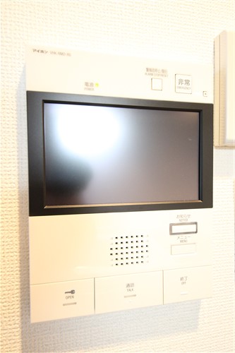 レオンコンフォート難波アッシュのその他写真